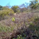 섬진산업