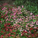 한밭수목원 서원 이미지