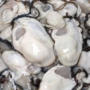 싸리골 산악회 2025년 정회원, 비회원, 송년회 및 단합회 이미지