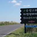 수산2리 생태마을 포토존 이미지