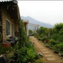 더불어사는 자연 2 이미지