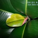 프라임부동산중개사무소 이미지