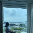 롯데시티호텔제주 이미지