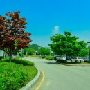 박종화「청자부」 이미지