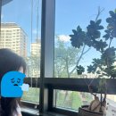 정원치과의원 | 신도림역 큐브 치과 정기검진 후기