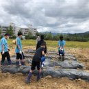 이서중학교 이미지