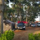 몽산포패밀리데이캠핑장 이미지