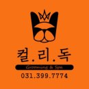 애견샵 컬리독 이미지