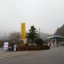 율포솔밭해변1 이미지