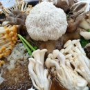 오리궁댕이 - 성남시 중원구 은행동 | 한섬능이백숙(동해)/능이오리백숙/능이토종닭백숙맛집