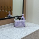 헬스케어넷 | [추천일기] 헬스장 샤워템 뭐 챙겨야 할까? 현실 꿀템 공개 (다이소 목욕바구니부터 두피앰플까지)