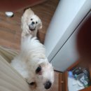 소리야네집 이미지