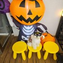 데일리로(DailyRo) 이미지