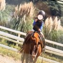 전동목장 | [제주] 목장 카페 드르쿰다 - 4살 아이의 승마 체험 및 카트 체험 후기