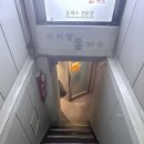 아리랑동가스