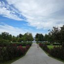 스페셜 퍼피 케이크 | 9월의 조각조각2