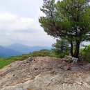 [7월2일] 청도 문복산 계살피계곡 산행 이미지