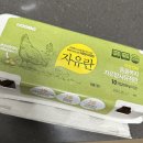 오아시스마켓 내돈내산 추천템/비추템/가성비템 후기