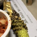 지금,돼지