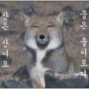 현대스파 이미지