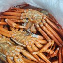 비선 | 동해안 홍게 제대로 즐기기, 비선상회 프리미엄 홍게 3가지 요리 후기