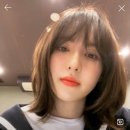 2023년 3월 첫째주 응트콤
