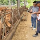 전원축산 이미지