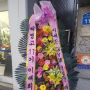 서세환 짐 네이버블로그
