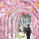 산책하는날 이미지