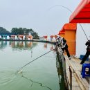 대도유료낚시터 이미지