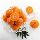 온새미영농조합법인 이미지