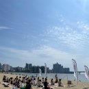 부산 바다 요가 2025 해양 치유 프로그램 해변 요가 후기