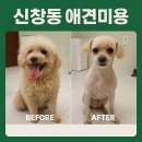 털이몽땅 이미지