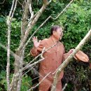 지동목장 이미지