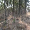 신두2리다목적회관 이미지