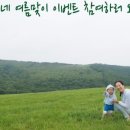 블루애플 이미지