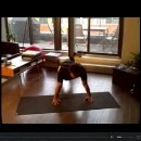 Kettlebell Bodyweight Stability Ball Exercise Workout 이미지