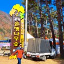 홍천(양양) 이미지