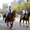 강남대로4-3 이미지