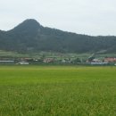 순흥농장 이미지