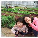 우민농장 이미지