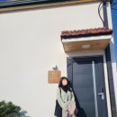 소다라 타이니 하우스 이미지