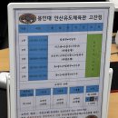 용인대안산유도체육관 이미지