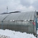 도척농업협동조합 이미지