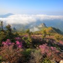 설악산 이미지