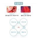 필동물병원 이미지