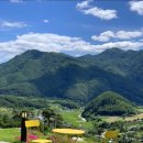 하루민박 이미지