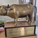 고급육생산목장 이미지