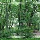 하가막마을회관 이미지