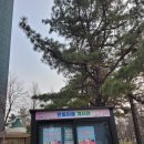 은동마을(1단지) | 양주시 덕정동 덕정주공1단지 은동마을 인터폰 교체후기 코맥스 CAV-77M 7인치 비디오폰 설치